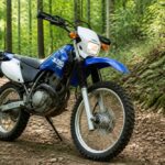 Niebieski motocykl Yamaha stojący na kamienistej ścieżce w zielonym lesie